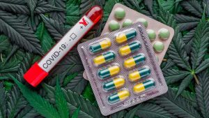coronavirus-y-aceite-de-cannabis