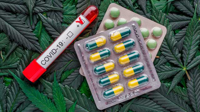 coronavirus-y-aceite-de-cannabis